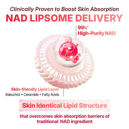Cell Energy Booster Duo - Brightening Firming Hydrating Korean Serum & Cream with NAD, Niacinamide & Glutathione